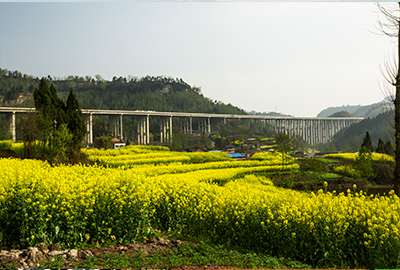 萬源（陜川界）至達州（徐家壩）段高速公路